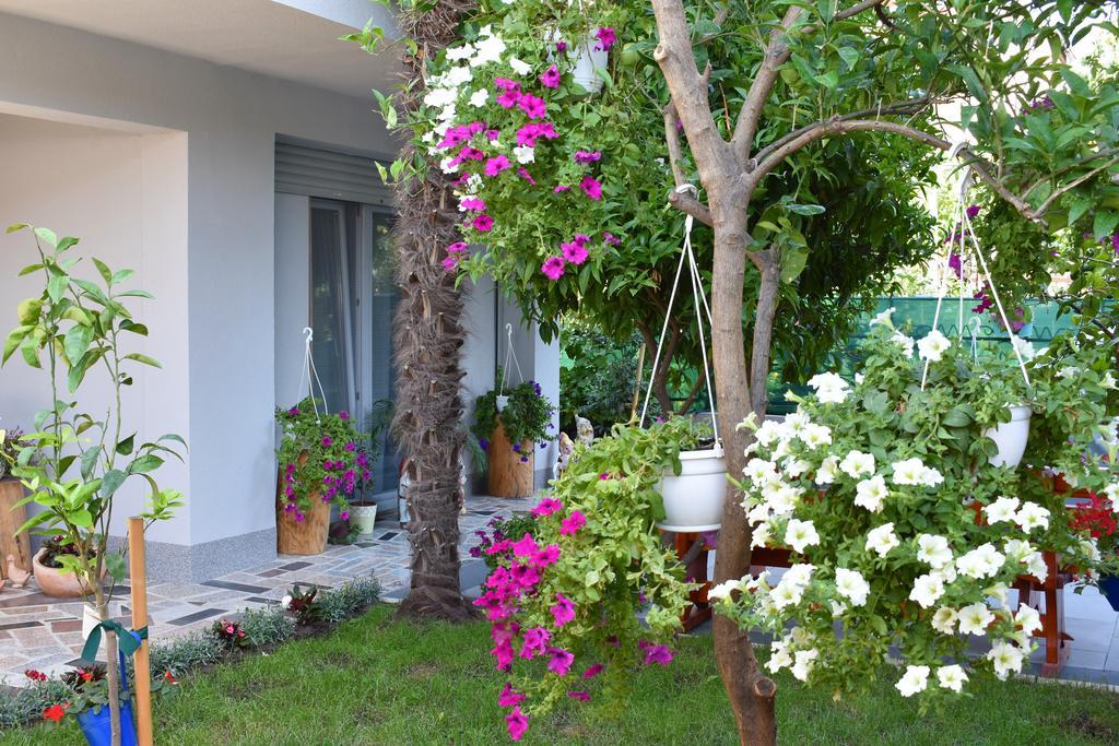 Apartments & Rooms Marinka Zara Esterno foto